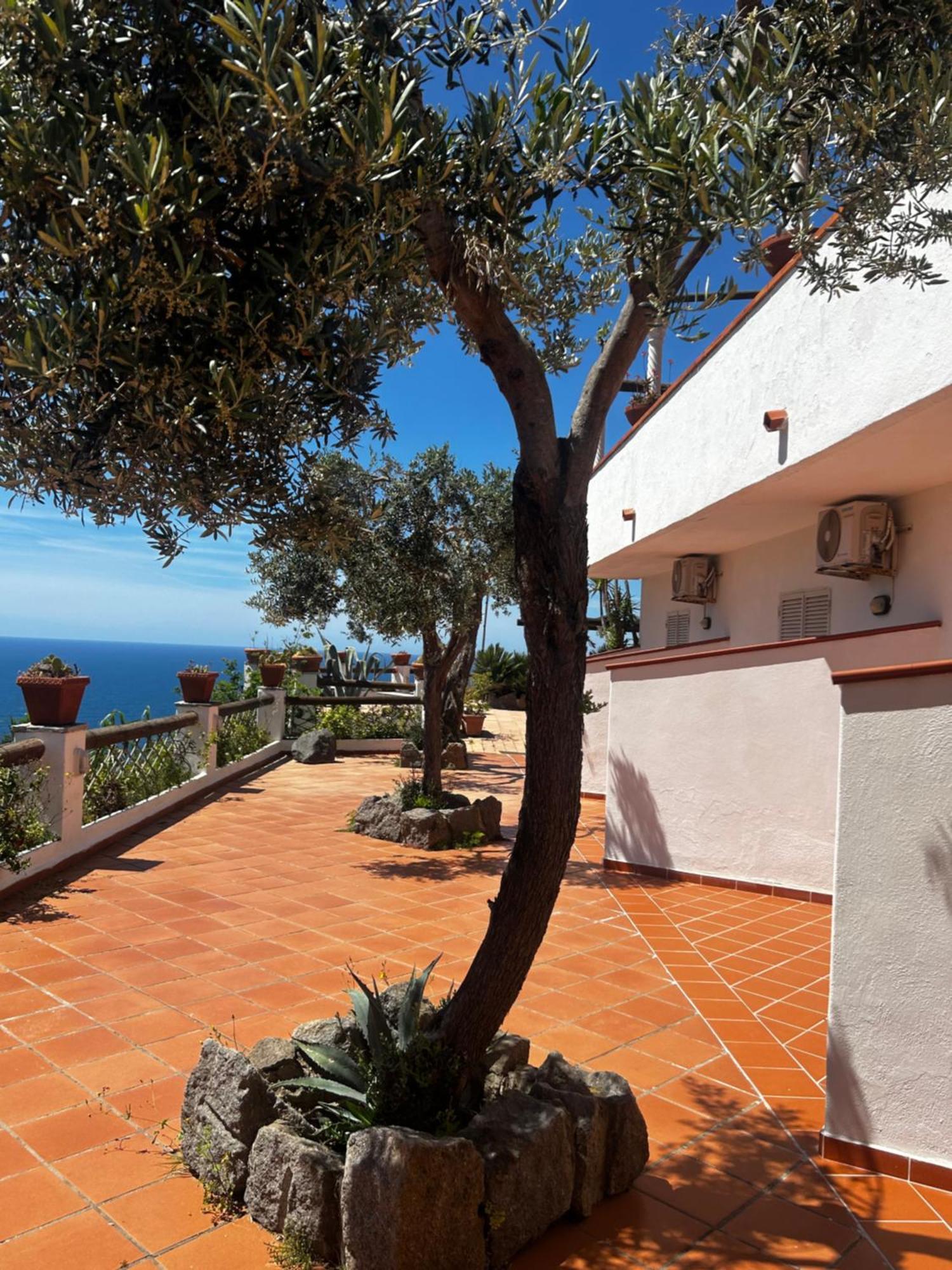 Hotel Punto Azzurro Forio di Ischia Kültér fotó