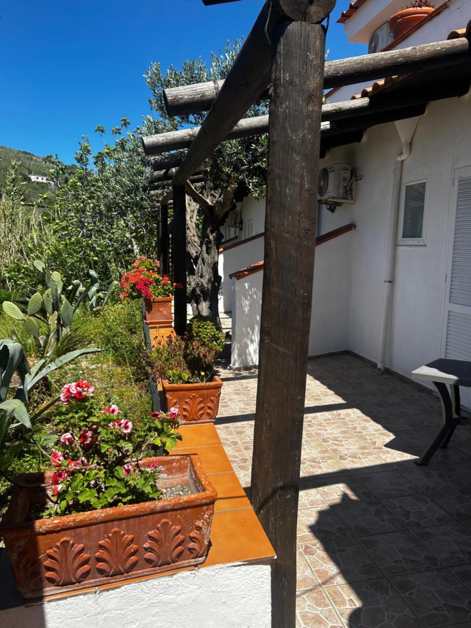 Hotel Punto Azzurro Forio di Ischia Kültér fotó
