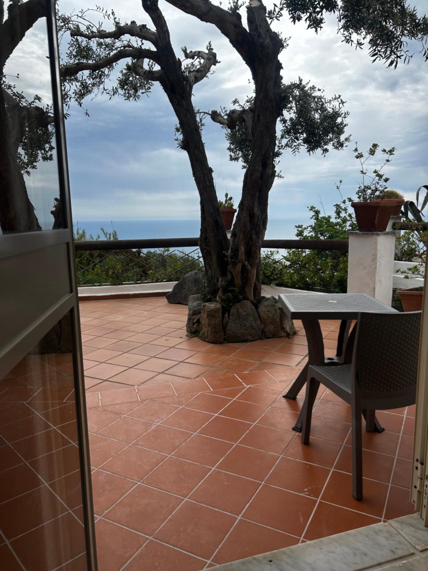 Hotel Punto Azzurro Forio di Ischia Kültér fotó